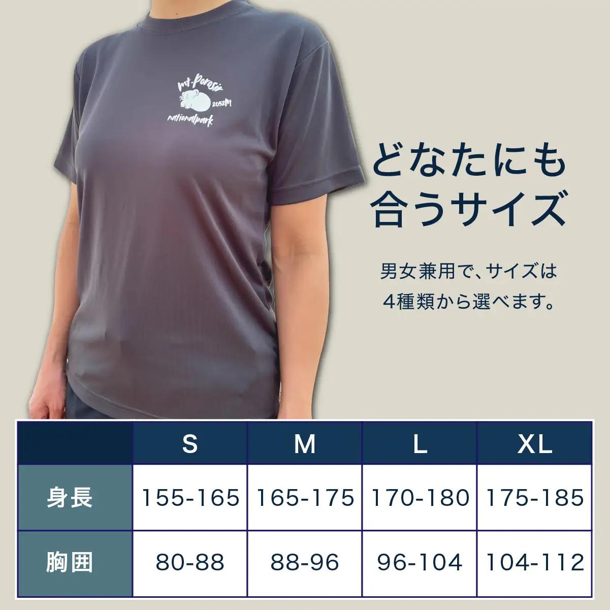【日本百名山】【2026年限定】幌尻岳記念山詩Tシャツ（グレー Mサイズ） BRTJ041