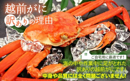 越前ガニ本場の越前町からお届け！越前ガニ浜茹で【訳あり】 越前ガニ(中）2杯と 越前の干しカレイ 4尾  食べ方しおり かにスプーン付き 越前町の網元漁師厳選の越前ガニ【かに カニ 蟹】【3月発送分】