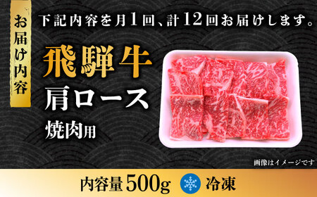 【12回定期便】 飛騨牛 焼肉用 ロース・肩ロース 500g A4等級以上  多治見市 / 渡辺精肉店 和牛 ブランド牛 牛肉[TAZ033]