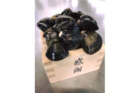 【琵琶湖に感謝！滋味香る！】 琵琶湖産 天然 瀬田 シジミ 3kg【D018W】 シジミ しじみ 琵琶湖 びわこ