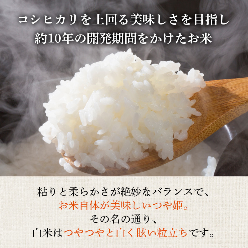 米 令和7年産 つや姫 5kg 有機JAS 精米 [農家の蔵出し米生産組合 山形県 高畠町 tk06ays900001] コメ ご飯 ごはん お米 ブランド米