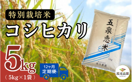 【定期便12回】令和8年産 新米 コシヒカリ 5kg×12回(計60kg) 特別栽培米 先行予約 | 新潟県産 白米 米 五泉市
