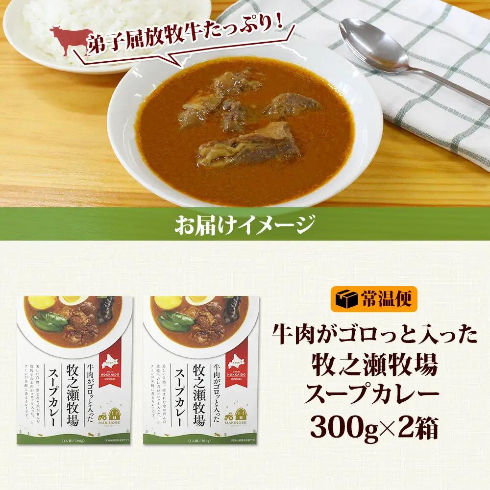 ビーフ スープカレー 300g 2箱 カレー ビーフカレー スープ 牛 牛肉 放牧牛 牧場 レトルトカレー レトルト食品 レトルト 湯煎 レンジ 牧之瀬牧場 送料無料 北海道 弟子屈町 3021