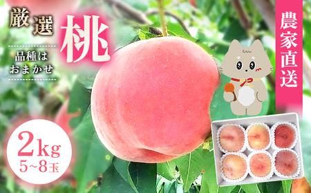 【先行予約】《7月中旬～9月中旬出荷》 宮城県丸森町産 桃 5～8玉（約2kg）【4800401】