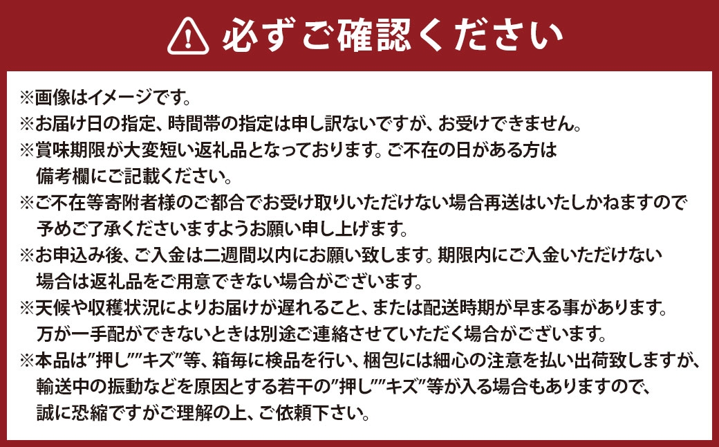 桃太郎ぶどう2房化粧箱入り（合計約940g）
