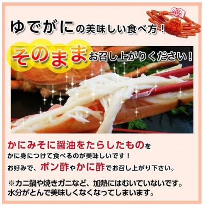 ふるさと納税 若桜町 【先行予約】鳥取県産　タグ付き浜茹で松葉がに　400g以上×2枚 |  | 03