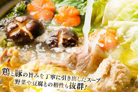 水炊き【3回定期便】訳あり 博多水炊き 10人前 2人前×5 水炊き