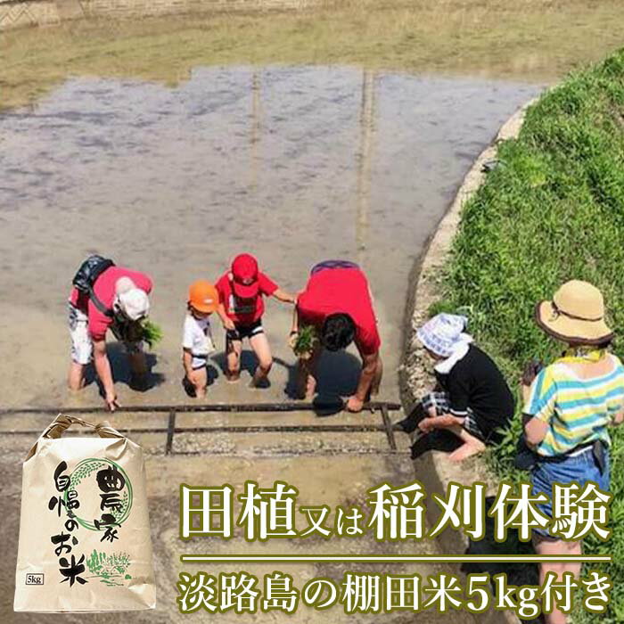 【ふるさと納税】田植又は稲刈体験　淡路島の棚田米5kg付