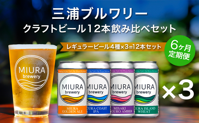 【全6回定期便】【三浦ブルワリー】クラフトビール 12本飲み比べセット　M110-T06【株式会社クラフトガレージ】