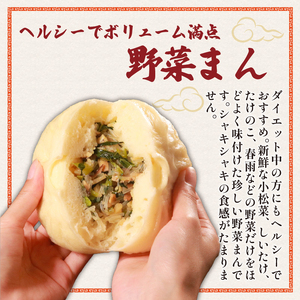 【 専門店の味 】 野菜まん 12個 中華まん