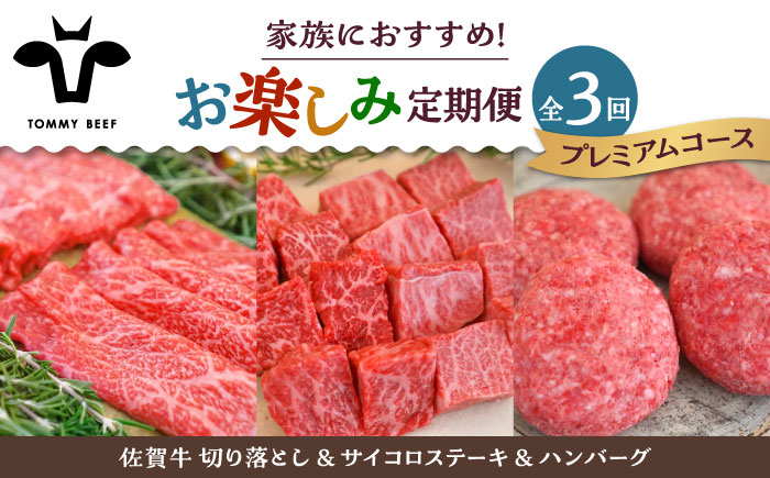 【牧場直送】【3回定期便】佐賀牛 家族向け お楽しみ 定期便【有限会社佐賀セントラル牧場】牛肉 [IAH218]