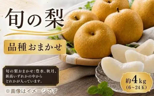 旬の梨 品種おまかせ 約4kg （ 6 ～ 24玉 ) 果物 フルーツ 豊水 秋月 新高 果実 果汁 果肉 ジューシー シャキシャキ 国産 熊本県産 冷蔵 【 2026年9月下旬迄発送 】