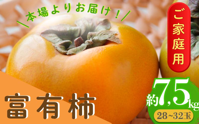 
            【訳あり・ご家庭用】【傷あり】ご家庭用富有柿（約7.5kg）【2025年11月上旬～下旬発送予定】
          