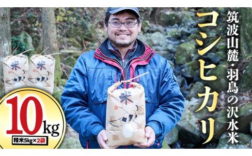 
                  筑波山麓・羽鳥の沢水米 コシヒカリ 10kg 米 お米 コメ 精米 白米 桜川市 茨城県 [BN001sa]	
                