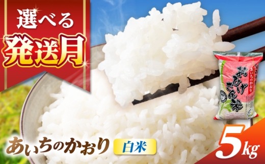 【7月発送】あいちのかおり 白米 5kg 米 お米 5kg 5キロ 白米 精米 コメ ご飯 ごはん 愛知県産 国産 県産米 国産米 あいちのかおり 発送 時期 選べる 産地直送 15000円 1万5千円 令和7年 愛西市 / 脇野コンバイン [AECP001-10]