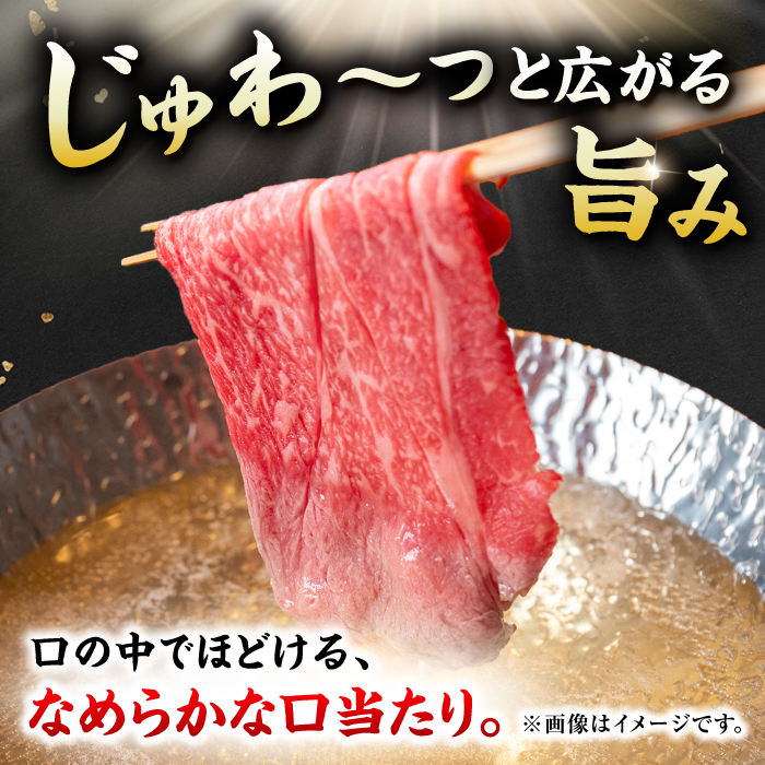 佐賀産和牛 肩ロース しゃぶしゃぶ・すき焼き用 600g 吉野ヶ里町 [FDB060]