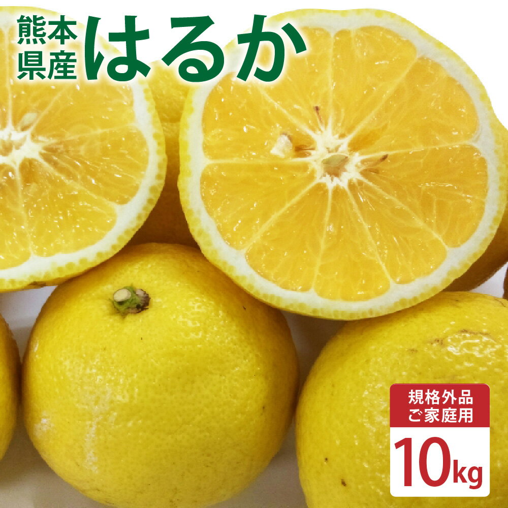 【ふるさと納税】 【規格外品】はるか ご家庭用 10kg サイズ不選別 サラダみかん 訳あり みかん ミカン フルーツ 果物 くだもの 柑橘 熊本県産 九州産 先行予約 送料無料 【2026年2月上旬～3月下旬迄発送予定】