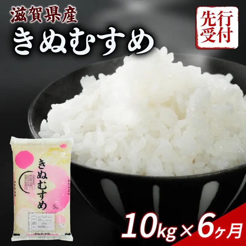 【令和8年産】 新米 きぬむすめ 10kg ( 5kg ×2) 6回定期便 令和8年産 定期便 キヌムスメ