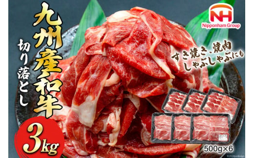 牛肉 九州産 和牛 切り落とし 3kg 500g×6p [日本ハムマーケティング 宮崎県 日向市 452060789] 冷凍 小分け 個包装 牛 すき焼き もも肉 モモ肉 牛バラ 牛肩