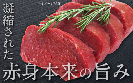 長崎和牛ももしゃぶしゃぶ用 約500g / モモ しゃぶしゃぶ 牛 ブランド牛 和牛 / 大村市 / まるしん商会[ACCD015]