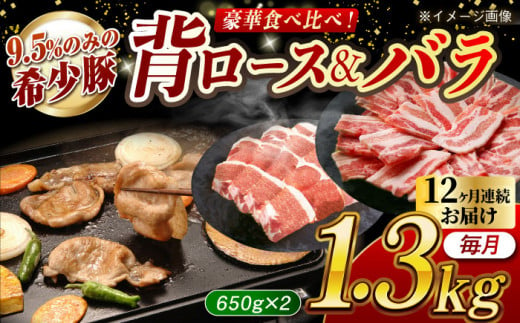 【月1回約1.3kg×12回定期便】大西海SPF豚 背ロース＆バラ（焼肉用）計15.6kg 長崎県/長崎県農協直販 [42ZZAA107] 肉 豚 ぶた ブタ ロース バラ 豚バラ 焼肉 焼き肉 食べ