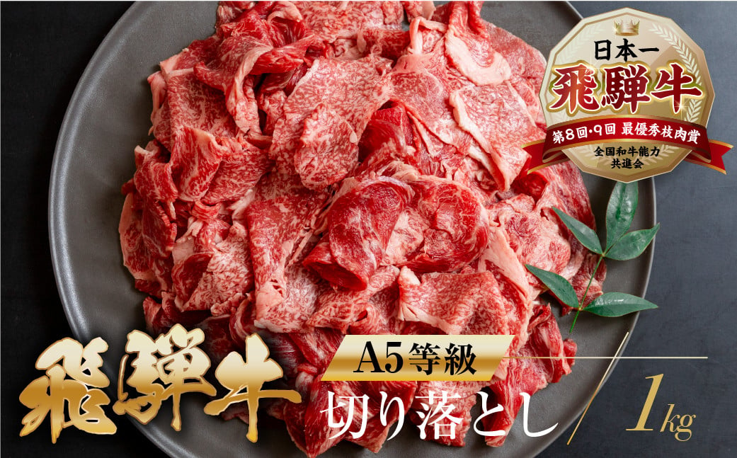 
トキノ屋[A5等級] 飛騨牛切り落とし 500g×2 計1kg 牛肉 肉 和牛 国産牛 肉 焼肉 すき焼き a5 不揃い 小分け 冷凍 日付指定 トキノ屋食品 本巣市 のし対応可 [mt368]
