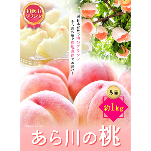 【先行予約】和歌山県紀の川市産あら川の桃 約1kg 秀品 前商店《6月末頃-7月中旬出荷》 和歌山県 紀の川市 送料無料