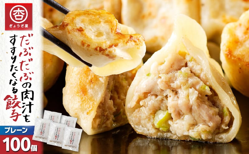 
            だぶだぶの肉汁をすすりたくなる餃子 100個　T060-002
          