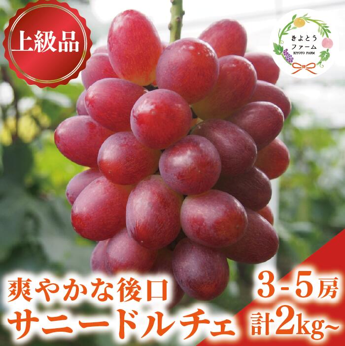 【ふるさと納税】希少品種 爽やかな甘みのサニードルチェ3-5房 計2kg～ (岡山県産)