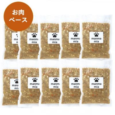 ふるさと納税 福岡市 【福岡市】マンマミーア【冷凍】(お肉ベース170g)10袋＜犬用＞ TB04