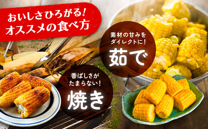 【全2回定期便】とうもろこし（10本）＆じゃがいも（10kg）《足寄町》【党崎農場】トウモロコシ とうもろこし 甘い 野菜 国産 新鮮 ジャガイモ じゃがいも 食べ比べ 芋 いも レンチン 定期便 北