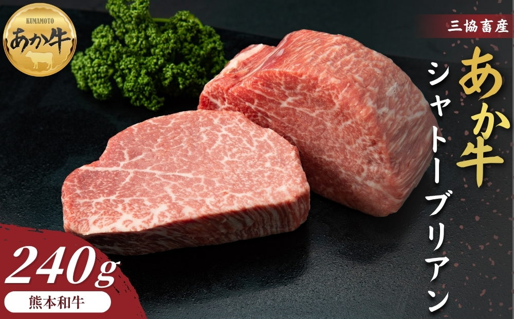 【くまもとあか牛】 シャトーブリアン 240g 【120g×2枚 三協畜産  高級 希少部位 上質 霜降り 赤身  熊本 阿蘇 熊本県 阿蘇市】