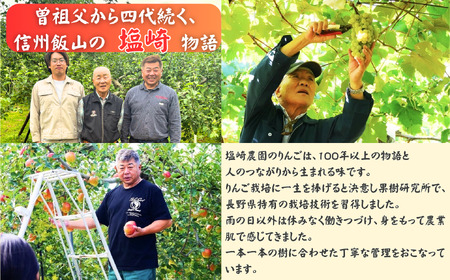 【訳あり】 りんご シナノゴールド 約10kg（22～40玉）【2026年10月下旬より発送 先行予約】At-025