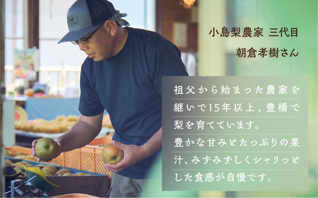 小島梨 3kg ~9玉 朝倉 産地直送 梨