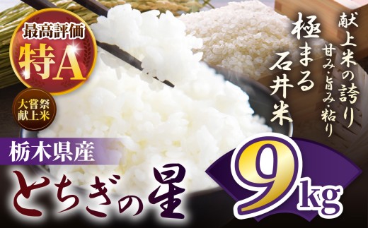 令和7年度 石井米（とちぎの星） 9kg | ふるさと納税 とちぎの星 那珂川町産 美味しい お弁当 おにぎり おいしい 数量限定 ご飯 送料無料 栃木県 那珂川町