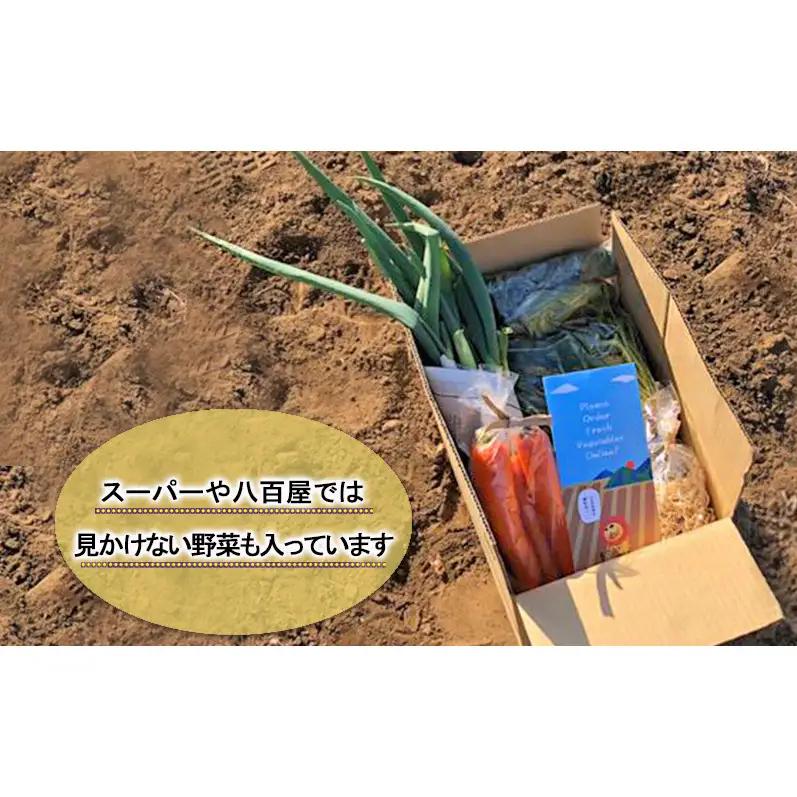 野菜 定期便 3ヶ月 2～4名様向け 野菜6種 セット＋加工品 旬の野菜 生野菜 やさい 新鮮 鮮度 産地直送 詰め合わせ 冷蔵 千葉 定期 お楽しみ 3回 