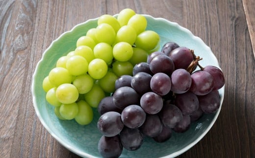 くぼ農園 ぶどう セレクション 4～5房（合計約2.0kg） [No.5220-0422]