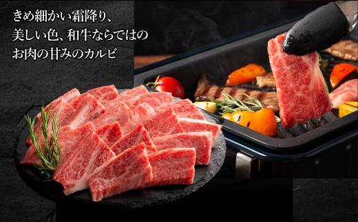  黒毛和牛 藤彩牛 厳選 4種 食べ比べ 豪華 セット ( サーロイン ステーキ カルビ 焼肉 ロース モモ スライス ) くまもと黒毛和牛 和牛 牛肉 すき焼き 大容量 冷凍 熊本県 水上村
