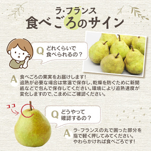 ≪先行受付≫ラ・フランス 5kg 14個～20個【2025年11月上旬～順次発送予定】 057-002