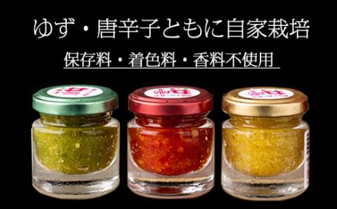 桜城ノゆず胡椒（3色セット）新鮮 柚子 手作り 新鮮 辛味 旨味 味くらべ 九州 うどん おでん お取り寄せ