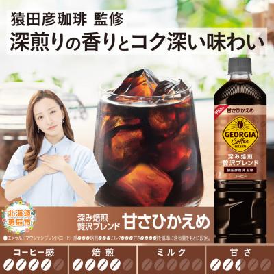 ふるさと納税 恵庭市 定期便全4回:ジョージア 深み焙煎贅沢ブレンド 甘さひかえめPET950ml×12本【380070】 |  | 01