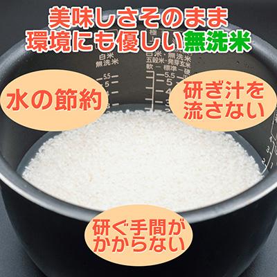 ふるさと納税 南魚沼市 【毎月定期便】≪無洗米≫南魚沼産こしひかり 精米 15kg(5kg×3袋) 全6回 |  | 01