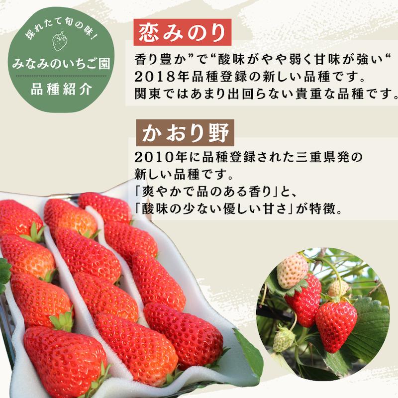 【先行予約＿2026年出荷分】完熟冷凍イチゴ　3kg（約11.4パック相当）恋みのり、かおり野　から厳選　【 いちご 果物 フルーツ 苺 イチゴ 冷凍 果物 フローズン くだもの 大容量 静岡県産 期