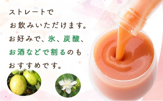 KU109 まるで果実を食べているような！ グァバドリンク２本セット (720ml×2本) 【宮崎果汁】