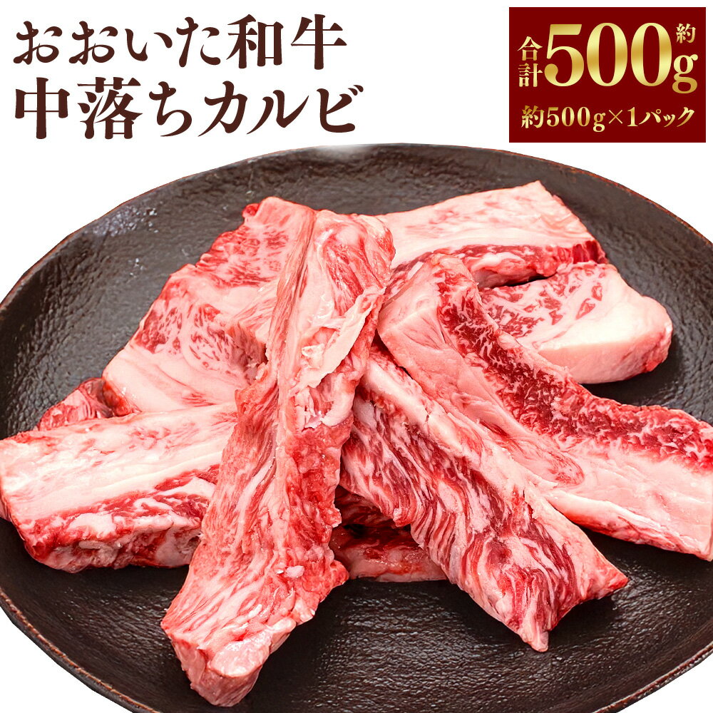 【ふるさと納税】おおいた和牛中落ちカルビ（約500g） 牛肉 和牛 肉 お肉 中落ち カルビ 焼肉 焼き肉 BBQ バーベキュー ごちそう 希少部位 濃厚 旨味 冷凍 厳選 4等級以上 おおいた和牛 国産牛 国産 九州 大分 大分県産 竹田市 送料無料
