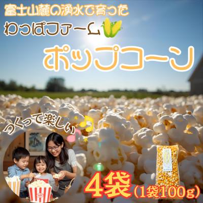 ふるさと納税 西桂町 【訳あり】作って楽しい!食べておいしい!有機栽培で作ったこだわりのポップコーン4袋(1袋100g)