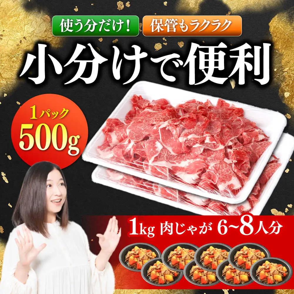 長崎県産 牛肉切り落とし1kg [SBA093] 牛肉
