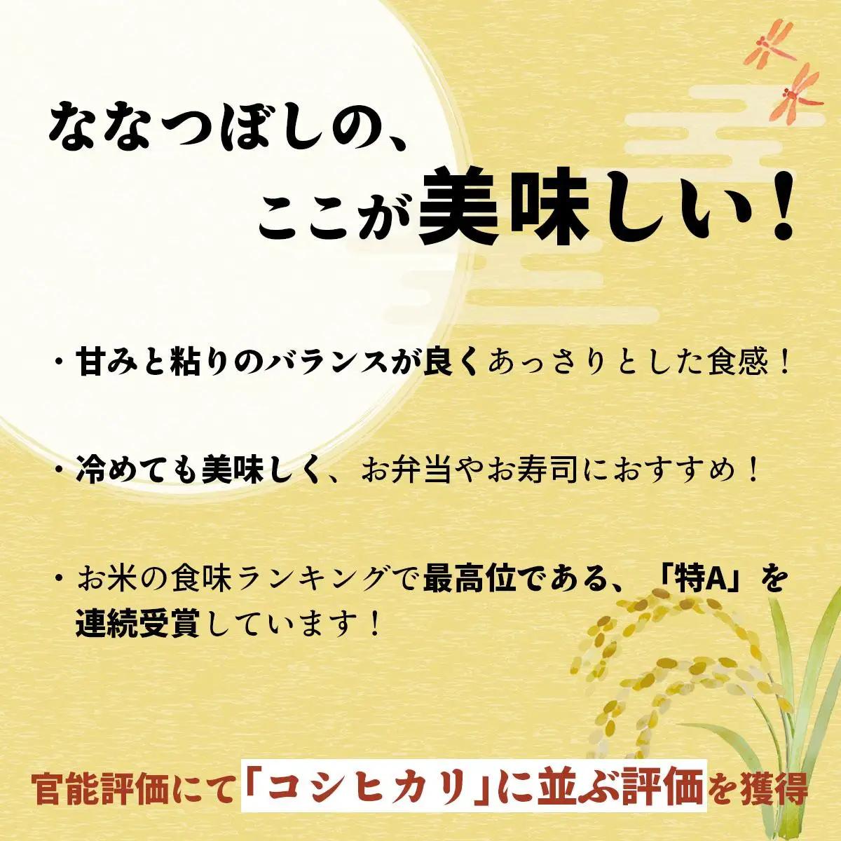 令和7年産！岩見沢産 特別栽培米 峯さんの「ななつぼし」 10kg(5kg×2)