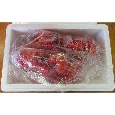 ふるさと納税 根室市 ＜12/21まで年内配送＞★花咲ガニ2尾(計800g以上) B-59010 |  | 01