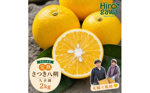 
                  完熟 さつき 八朔 2kg / はっさく 甘い 和歌山 柑橘 ※2027年4月上旬～5月上旬頃に順次発送予定 【hsk022-r-2】
                